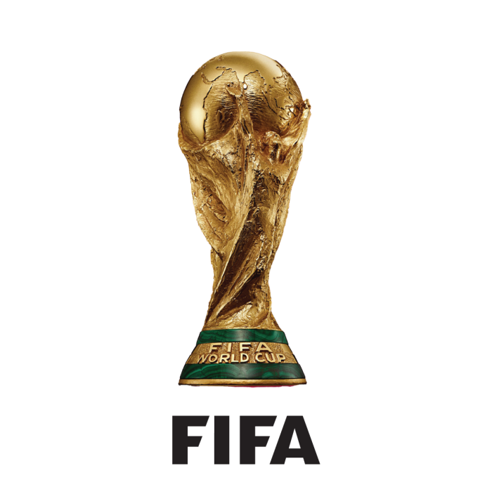 FIFA World Cup Limo Service